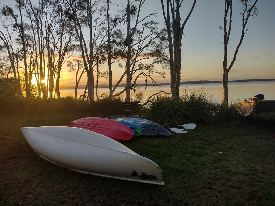 Canoe birding on Lake Weyba