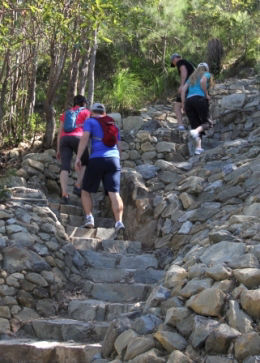 Climbing mount Coolum