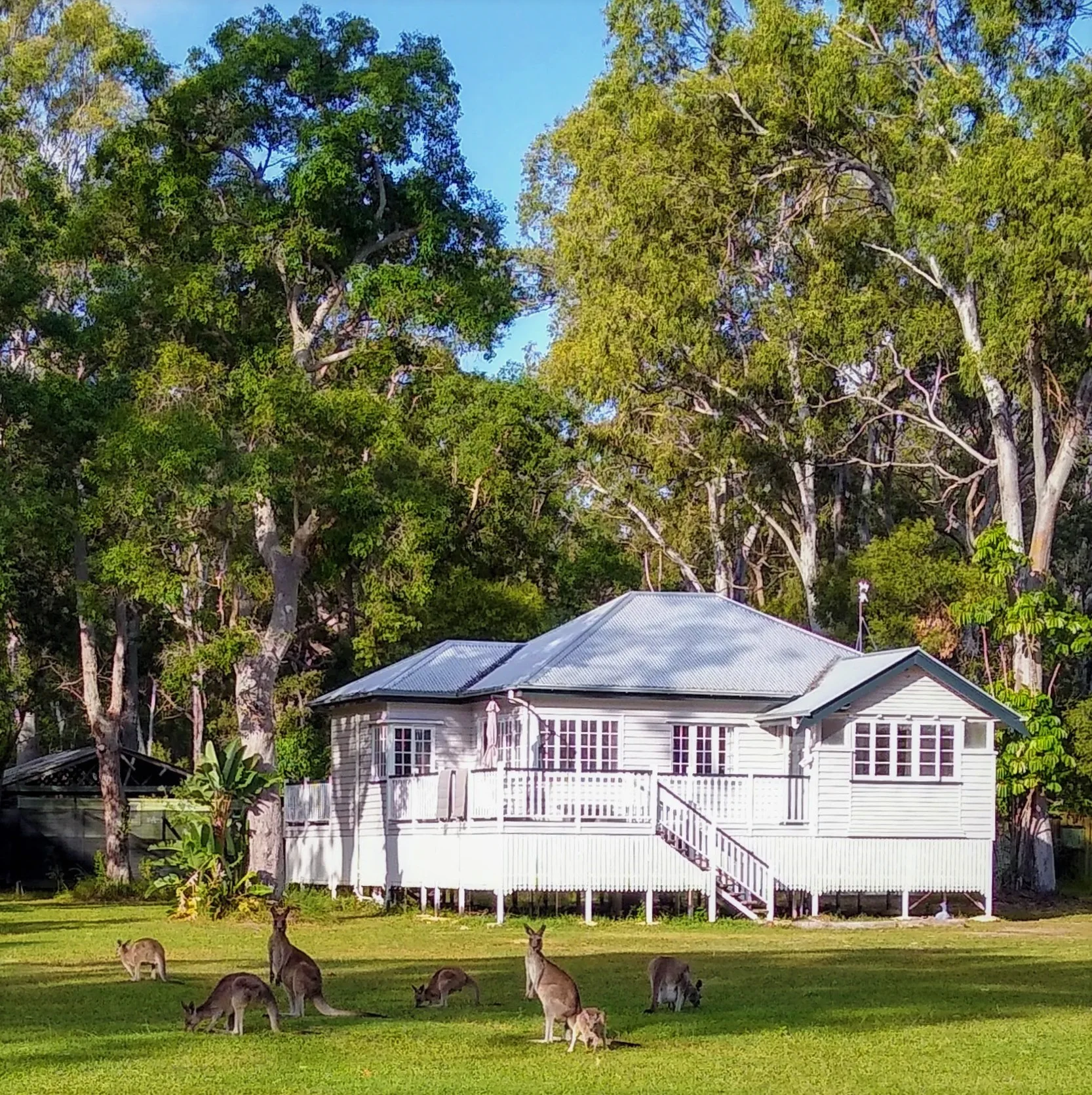 Lake Weby Noosa Lodge