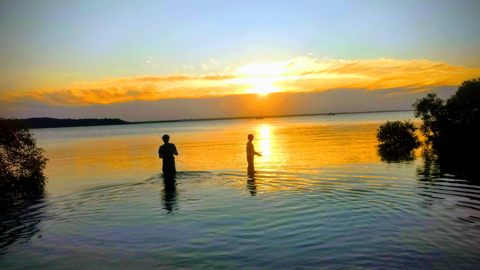 Lake Weyba -  Noosa Everglades
