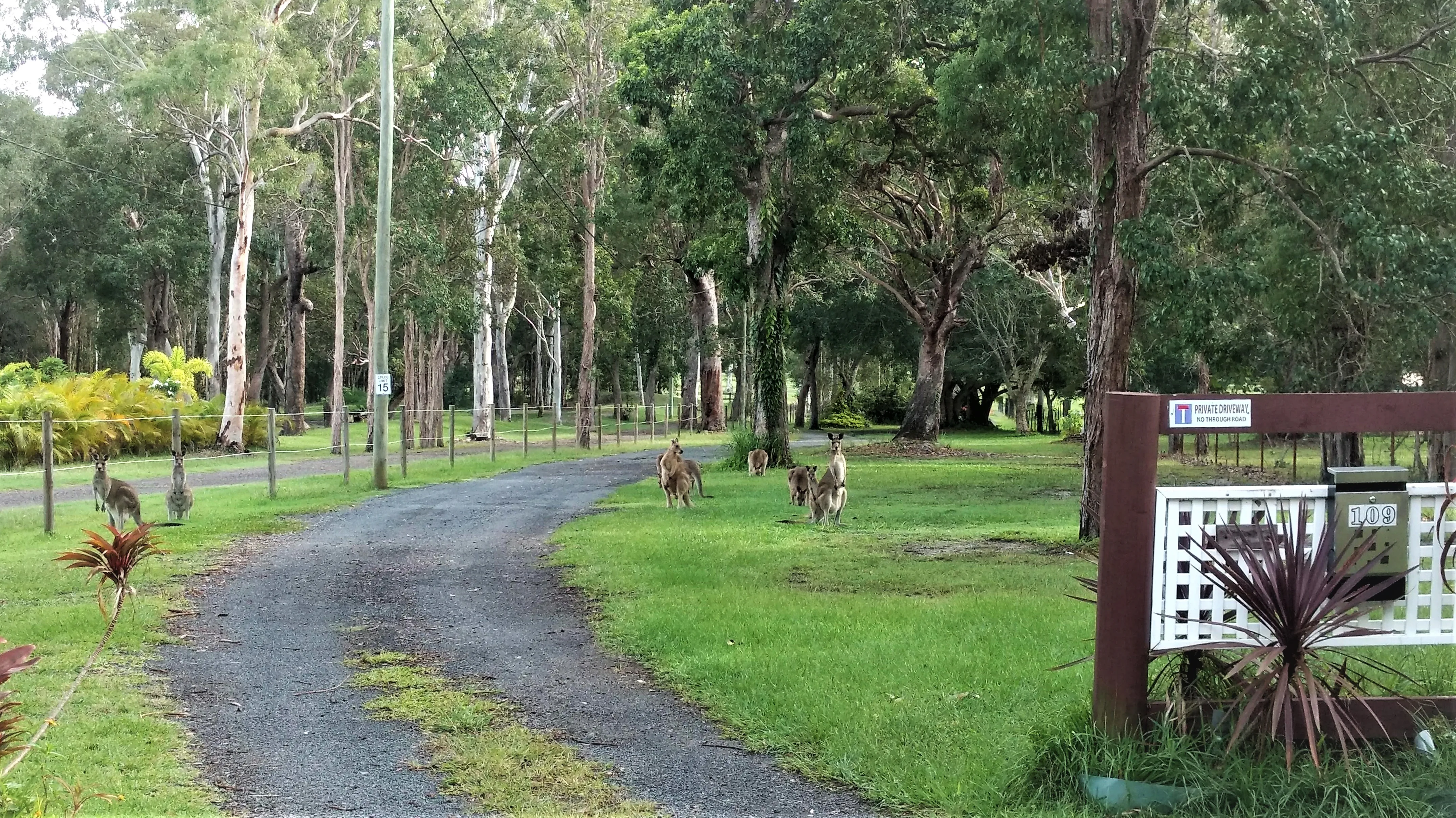 Entry to Lake weyba noosa lodge