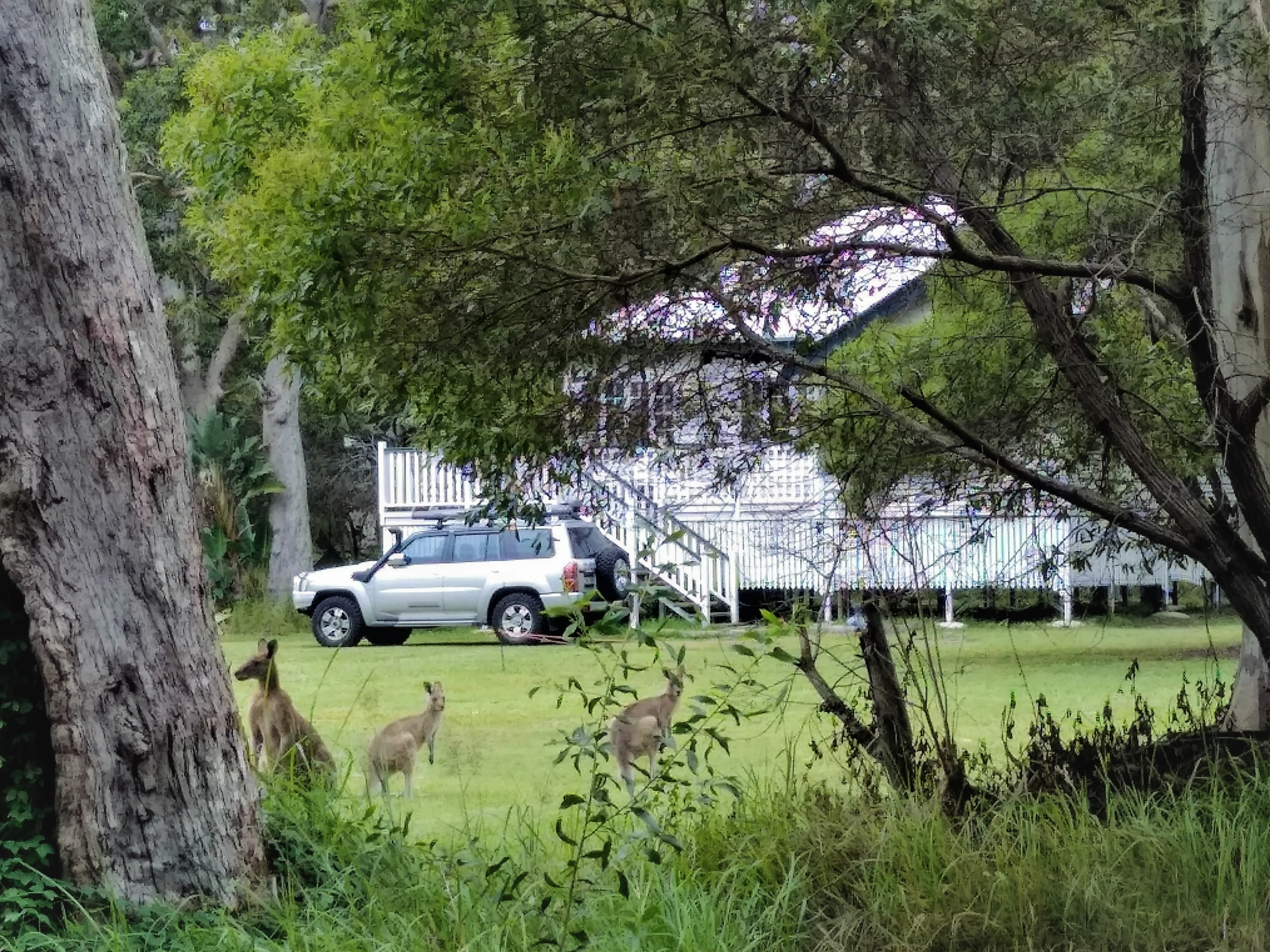 parking next to cottage